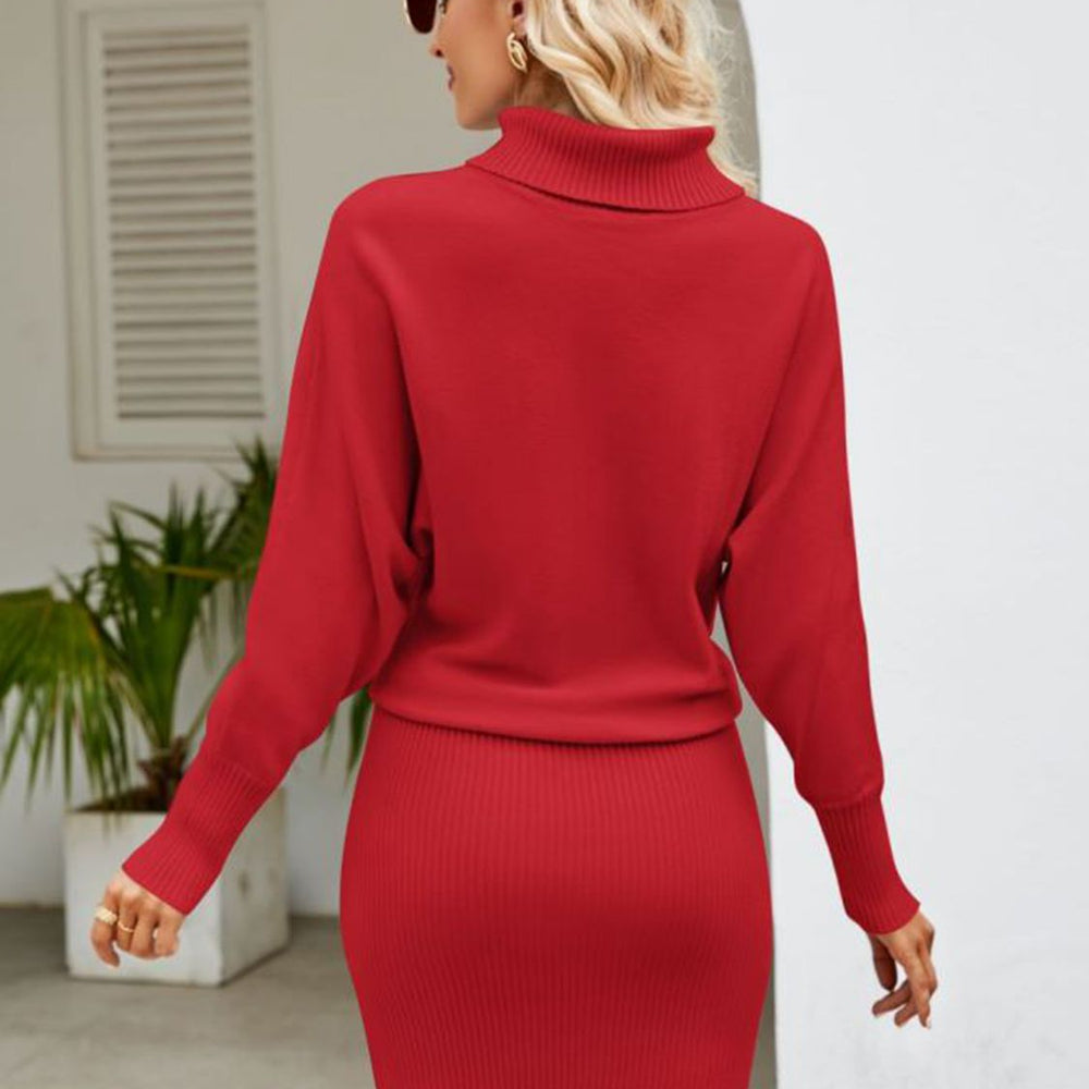 
                      
                        Turtle Neck Long Sleeve Ribbed Sweater Dress
                      
                    